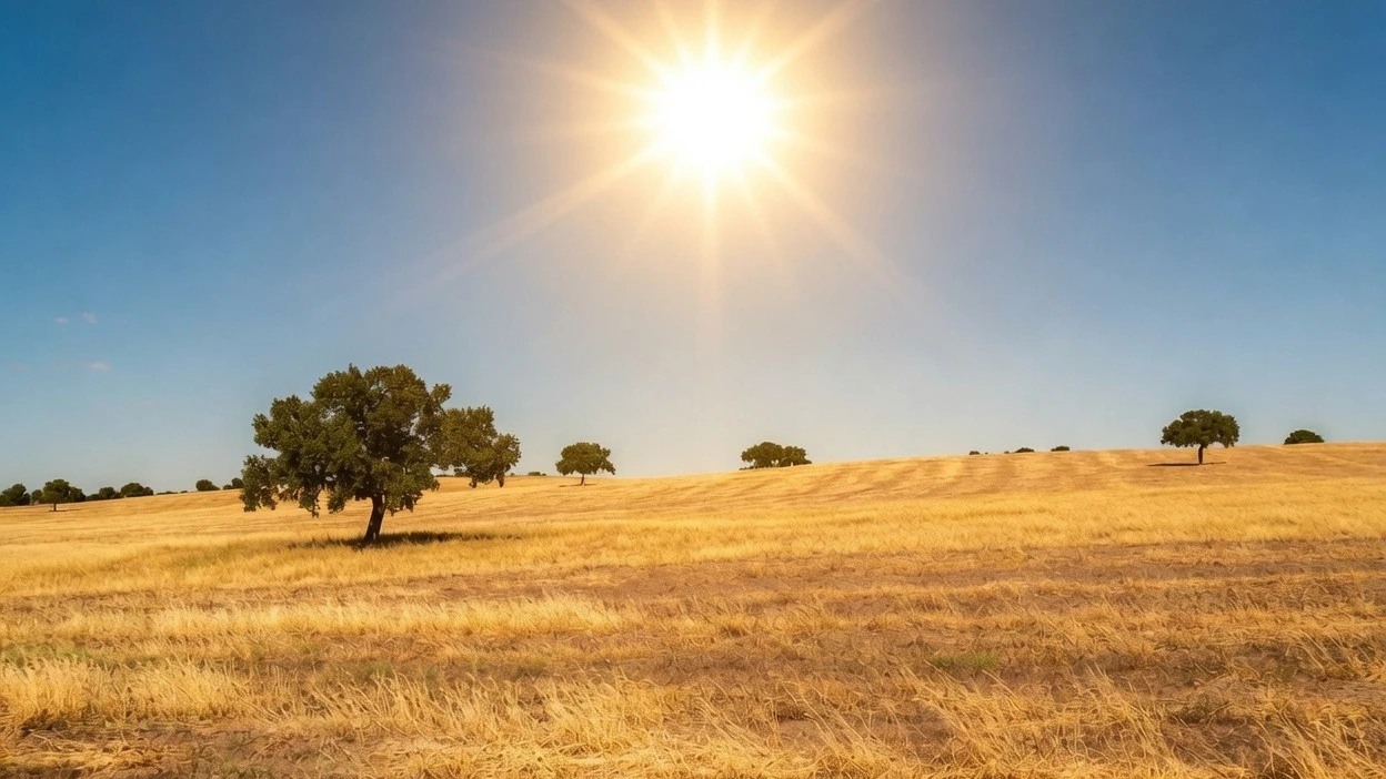 La nueva ola de calor llega hoy a España y complicará la lucha contra el fuego