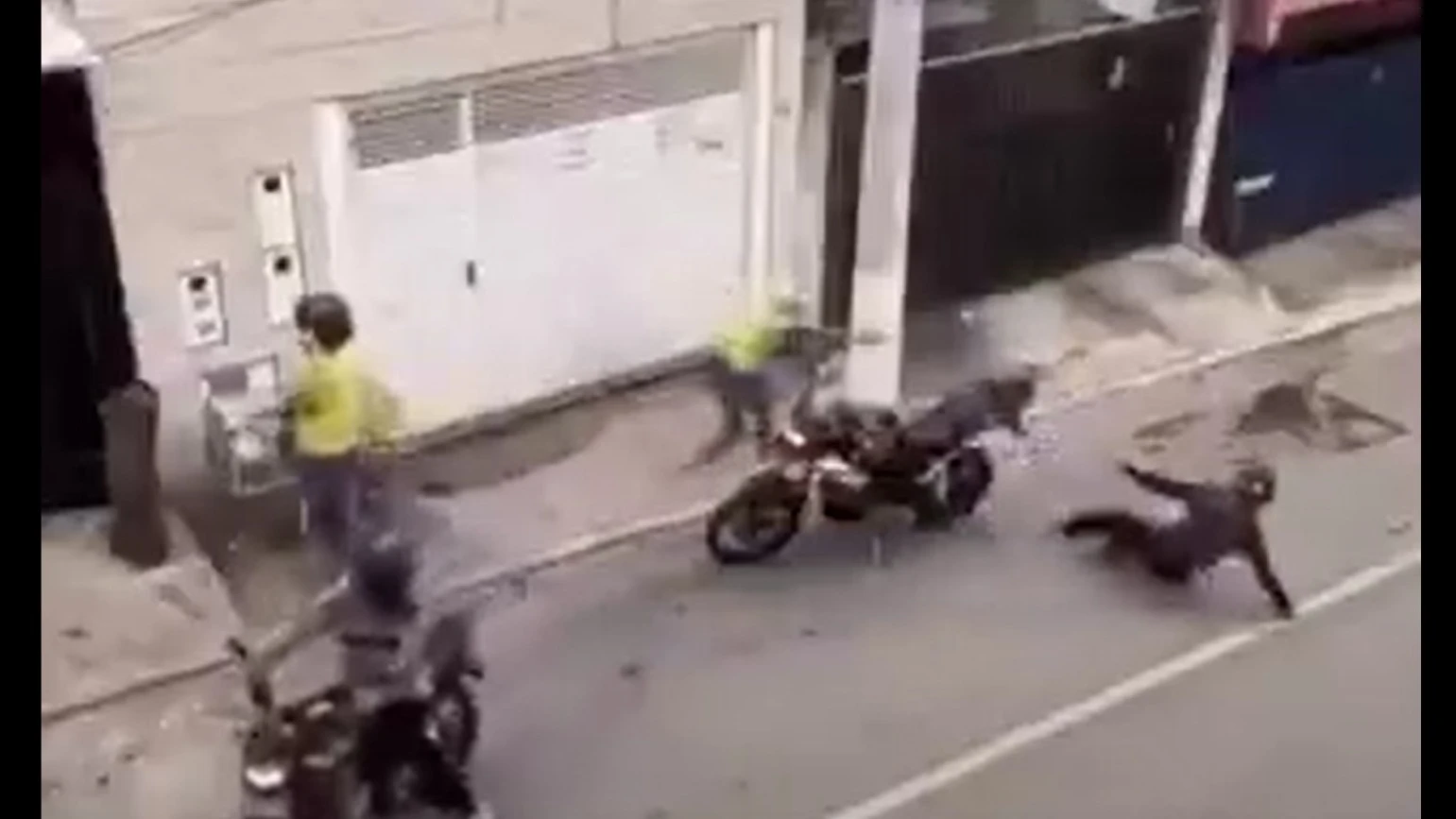 Vídeo del ataque a un matrimonio en moto: ella dispara y la reacción de él es de película